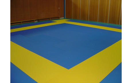 Stage Kata / Kumité à Tronville